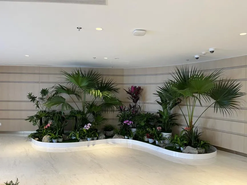 奉化绿植租赁公司